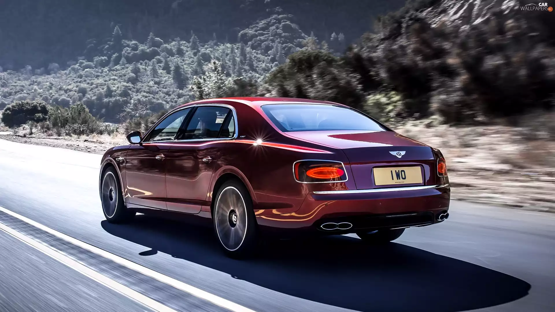 Bentley Continental Flying Spur, Back