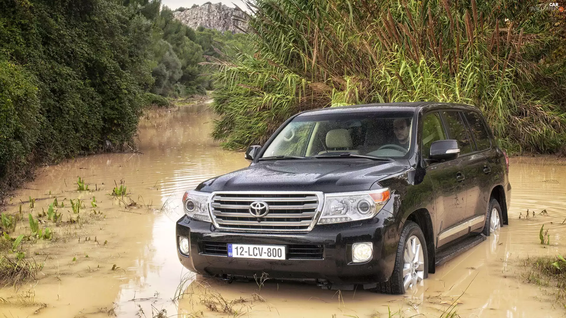 trees, viewes, Land Cruiser, brook, Toyota