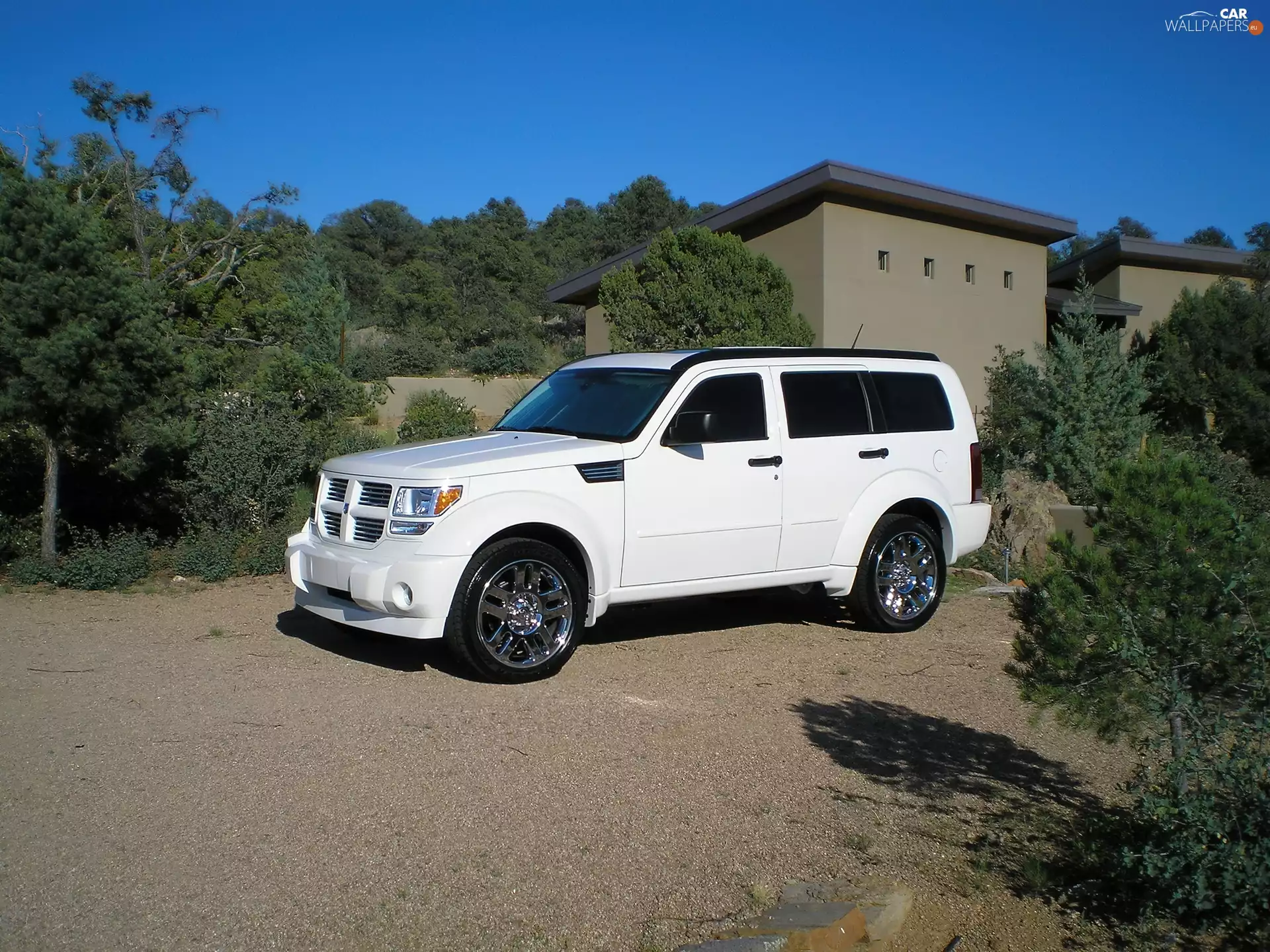 White, dark, windows, Dodge Nitro