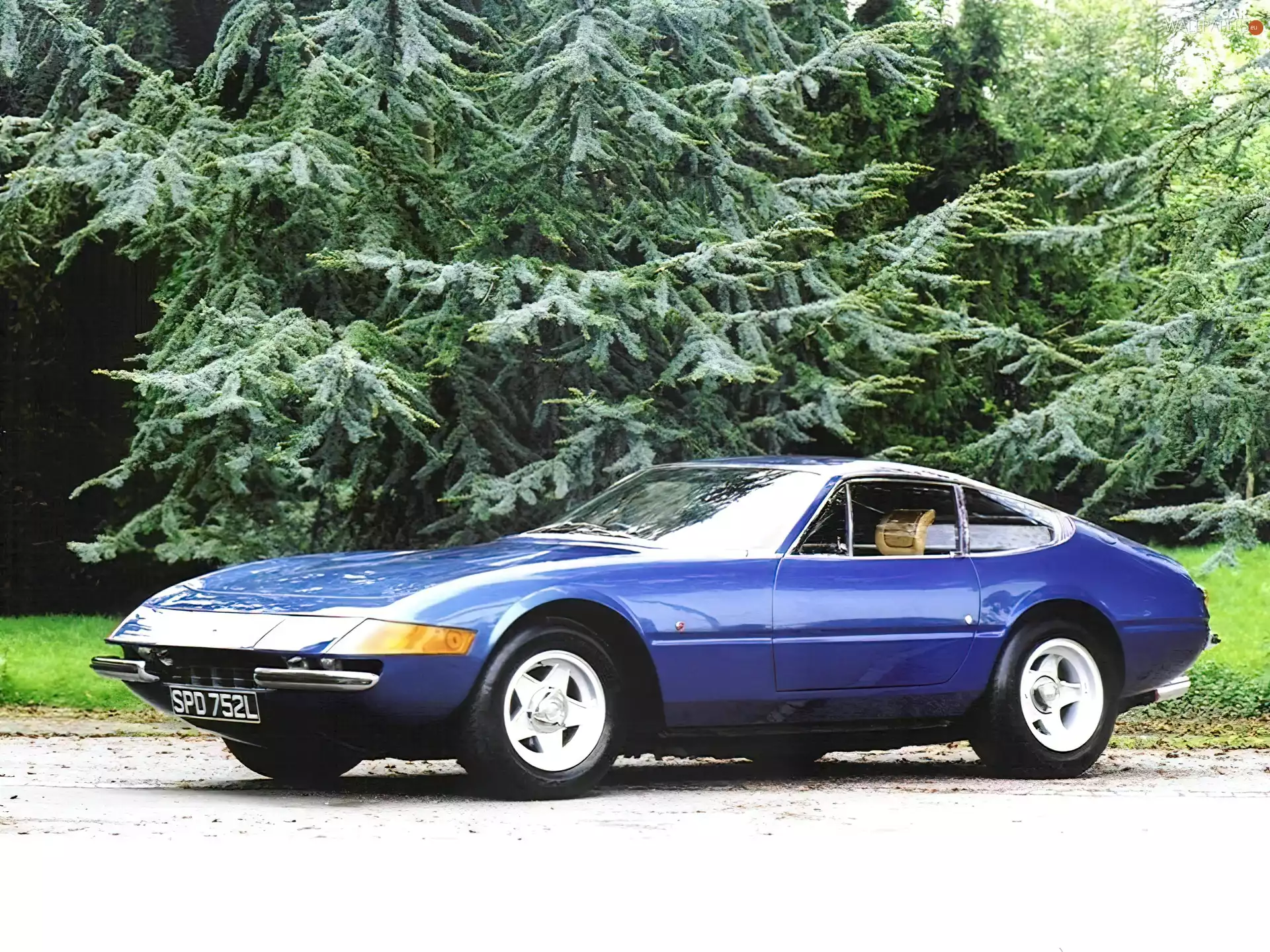 @, Blue, Ferrari Daytona