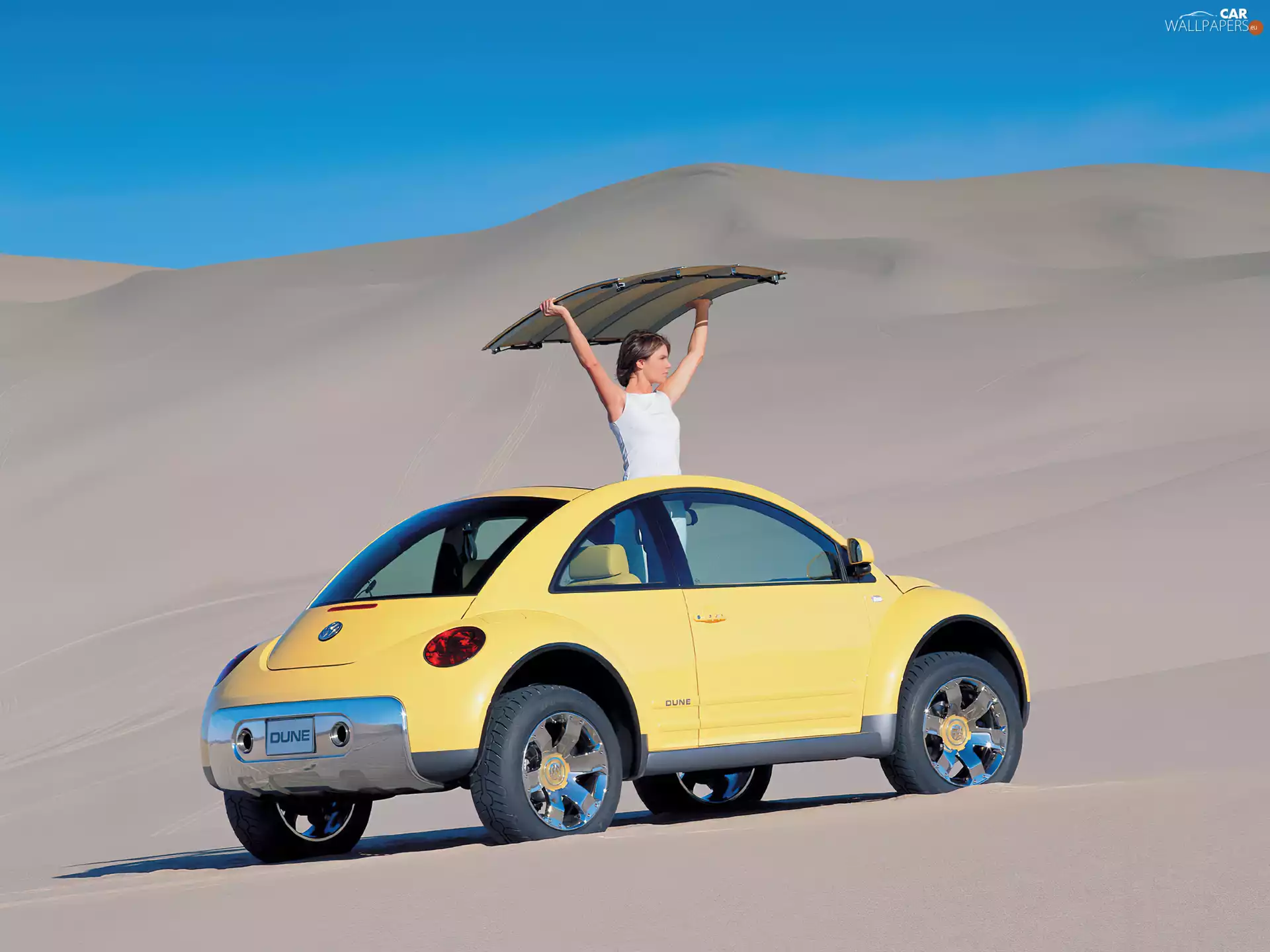 Volkswagen New Beetle, Desert
