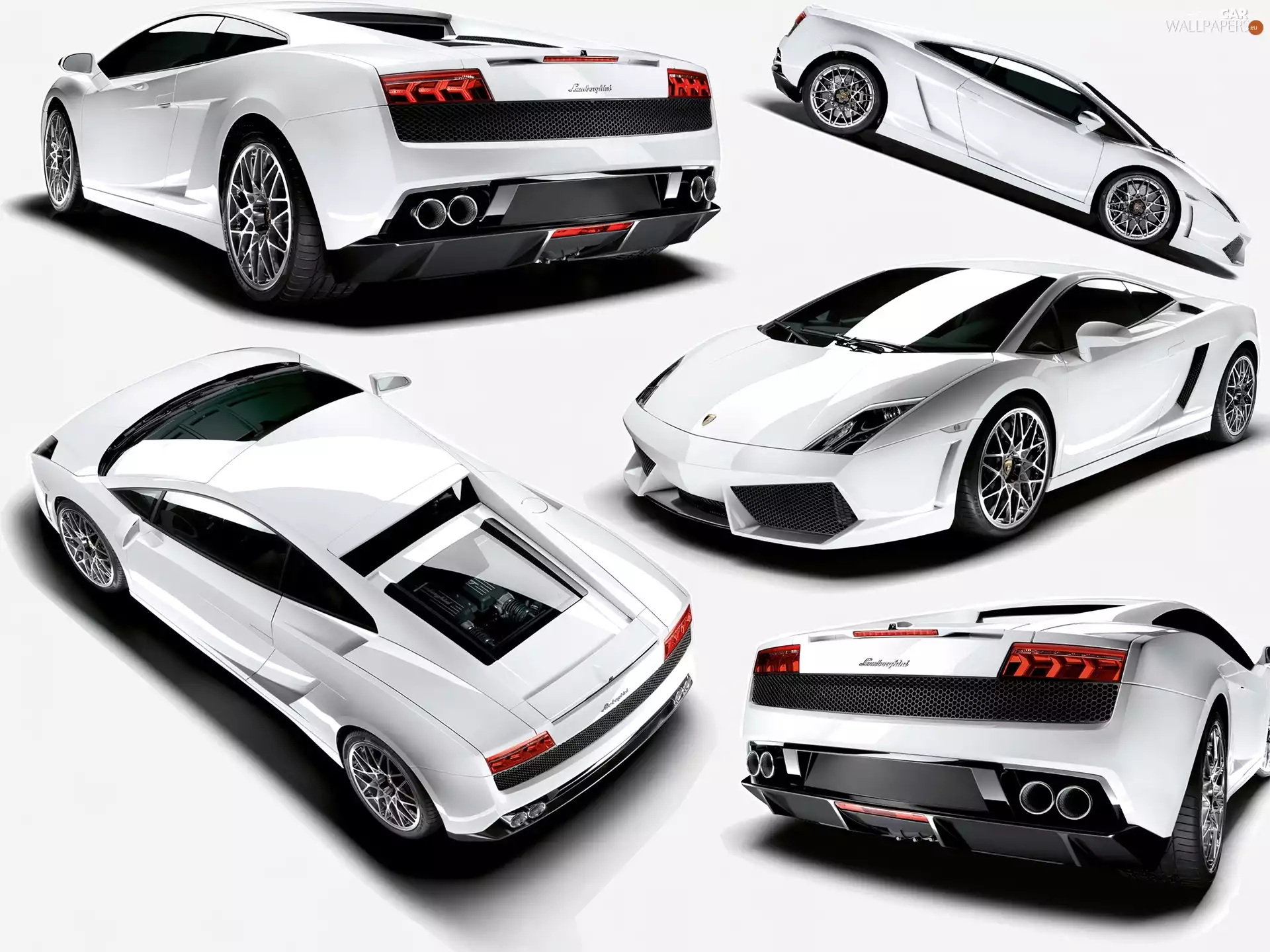 outlook, Lamborghini Gallardo, different