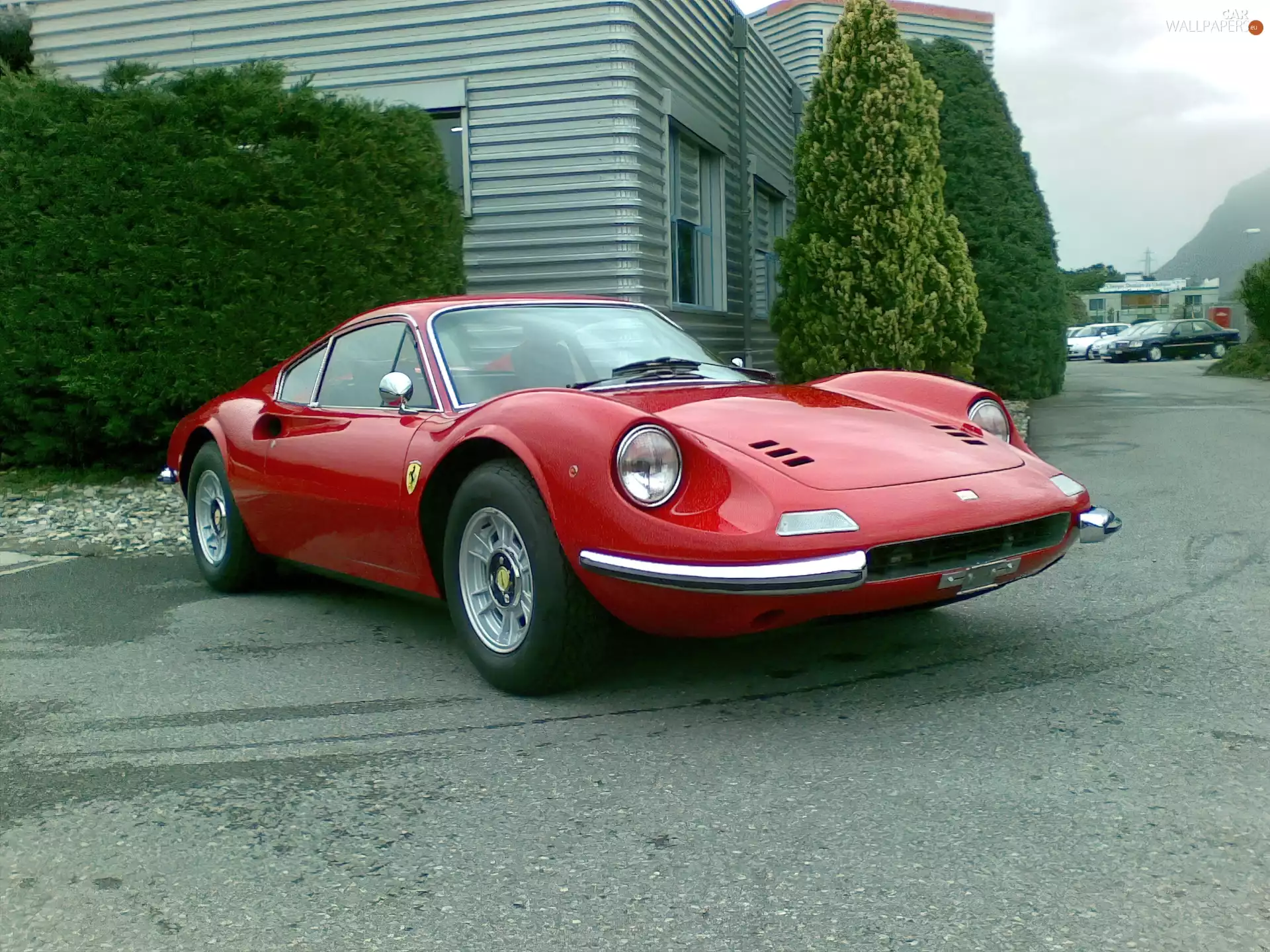 Ferrari Dino, Chrome, Mirrors, Mask