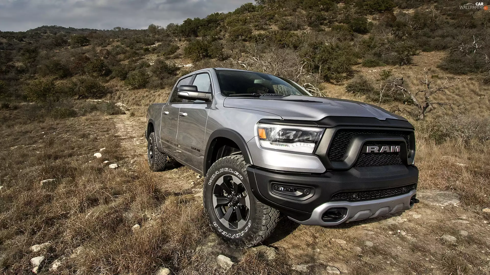silver, Rebel, 2019, Dodge Ram 1500