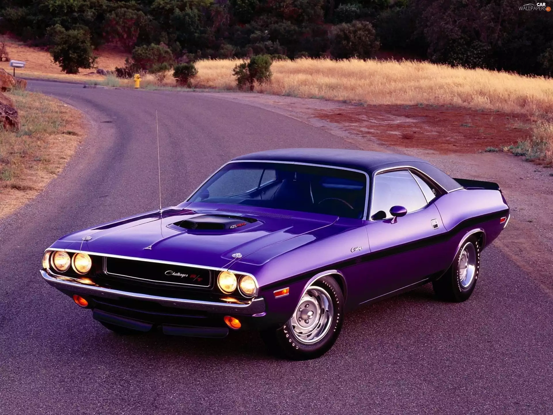 HEMI black one, Dodge Challenger, 426