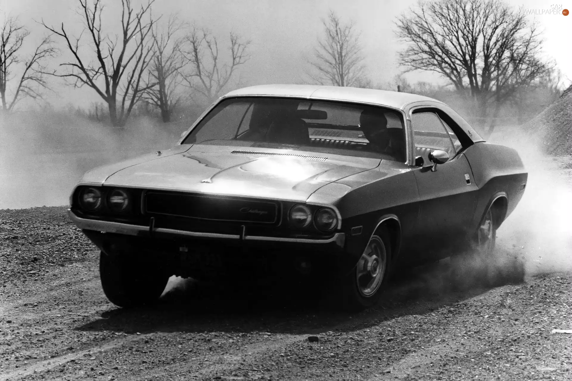 Previous, Dodge Challenger, rally, version