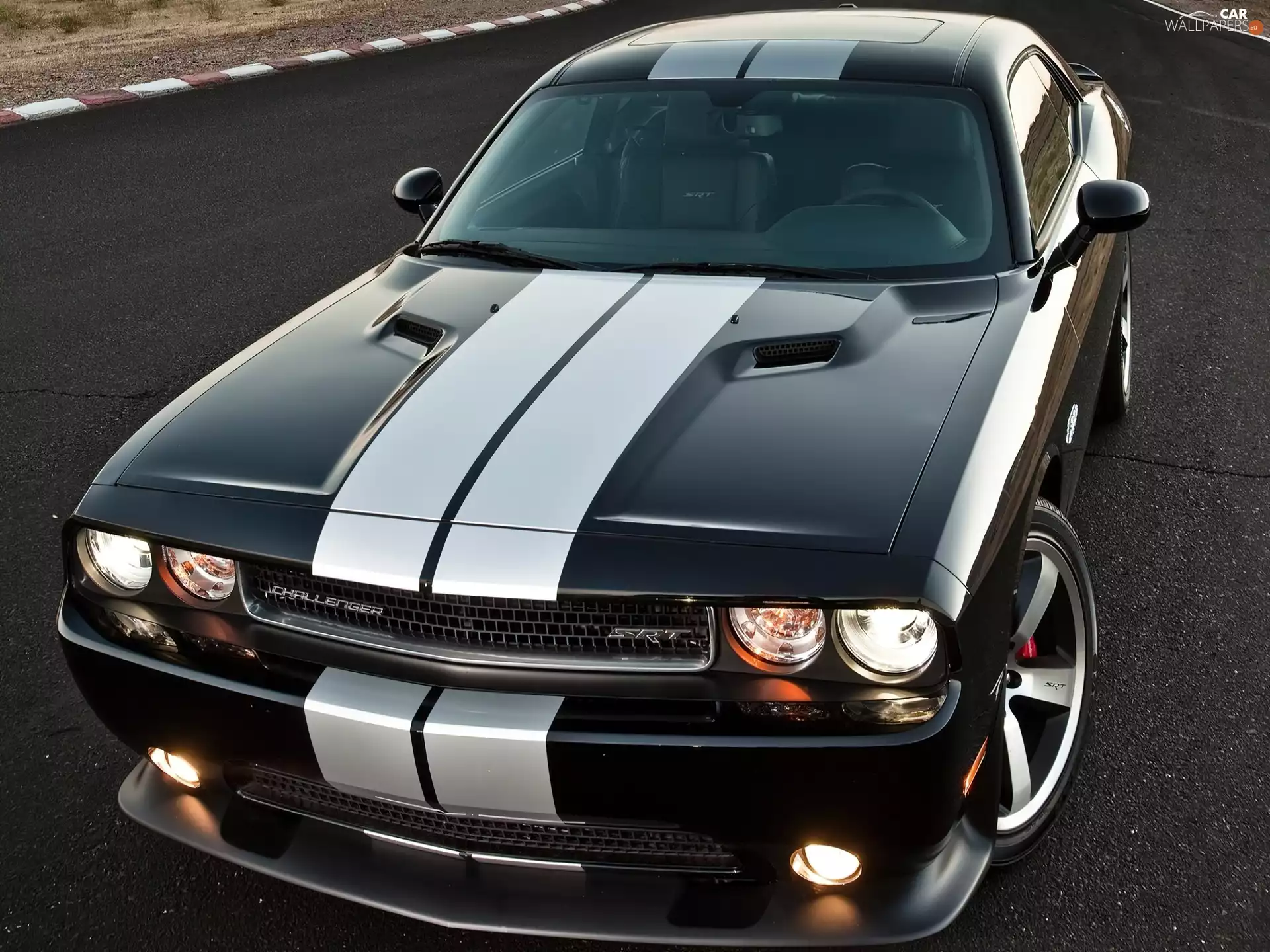 Belts, Dodge Challenger STR8, White