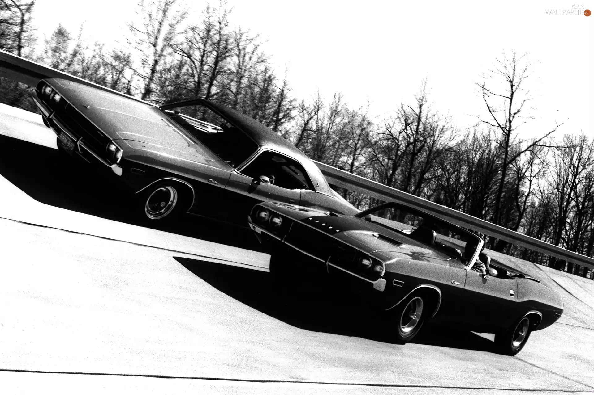 Dodge Challenger, race