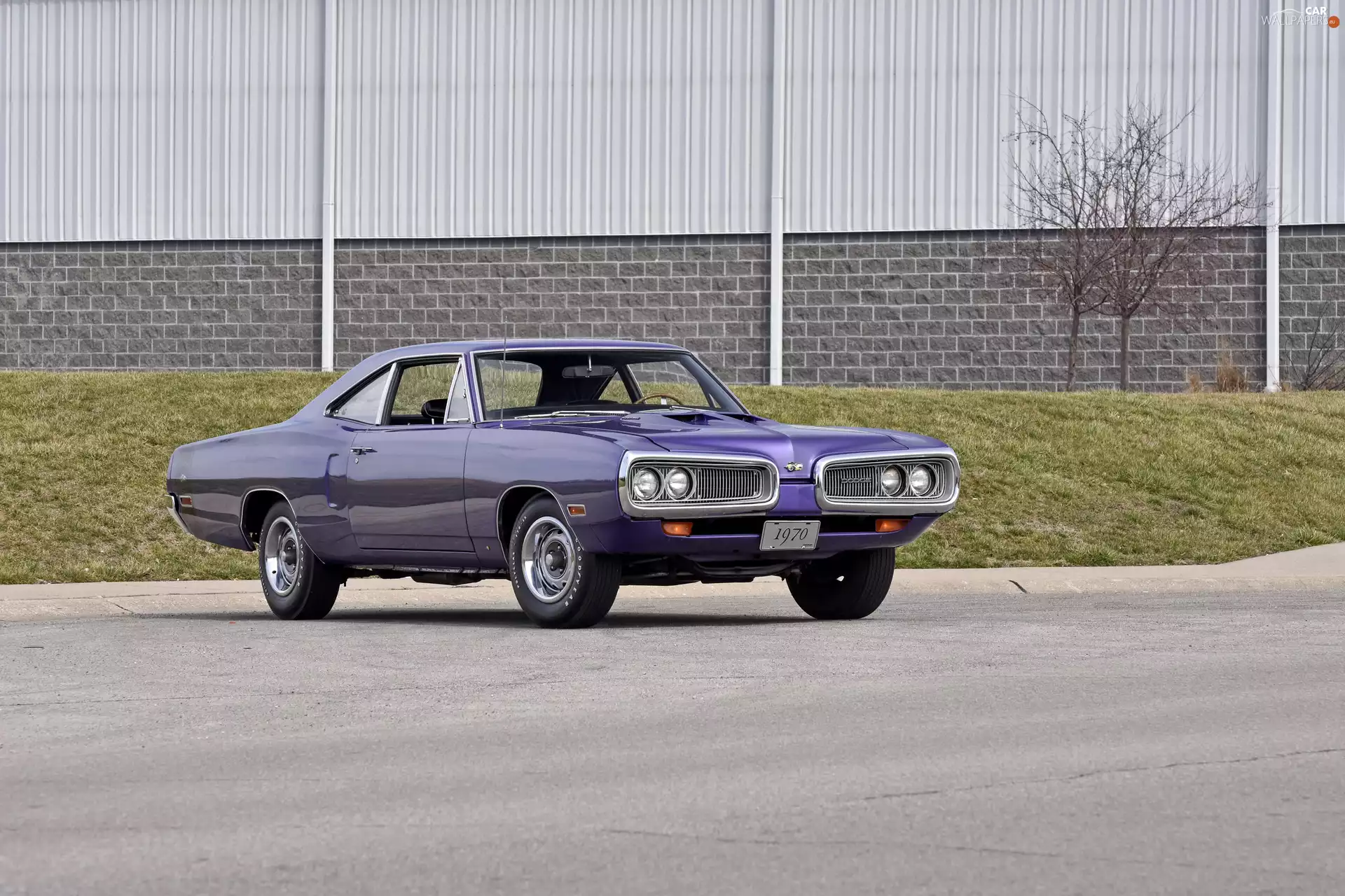 antique, Dodge Super Bee 1970