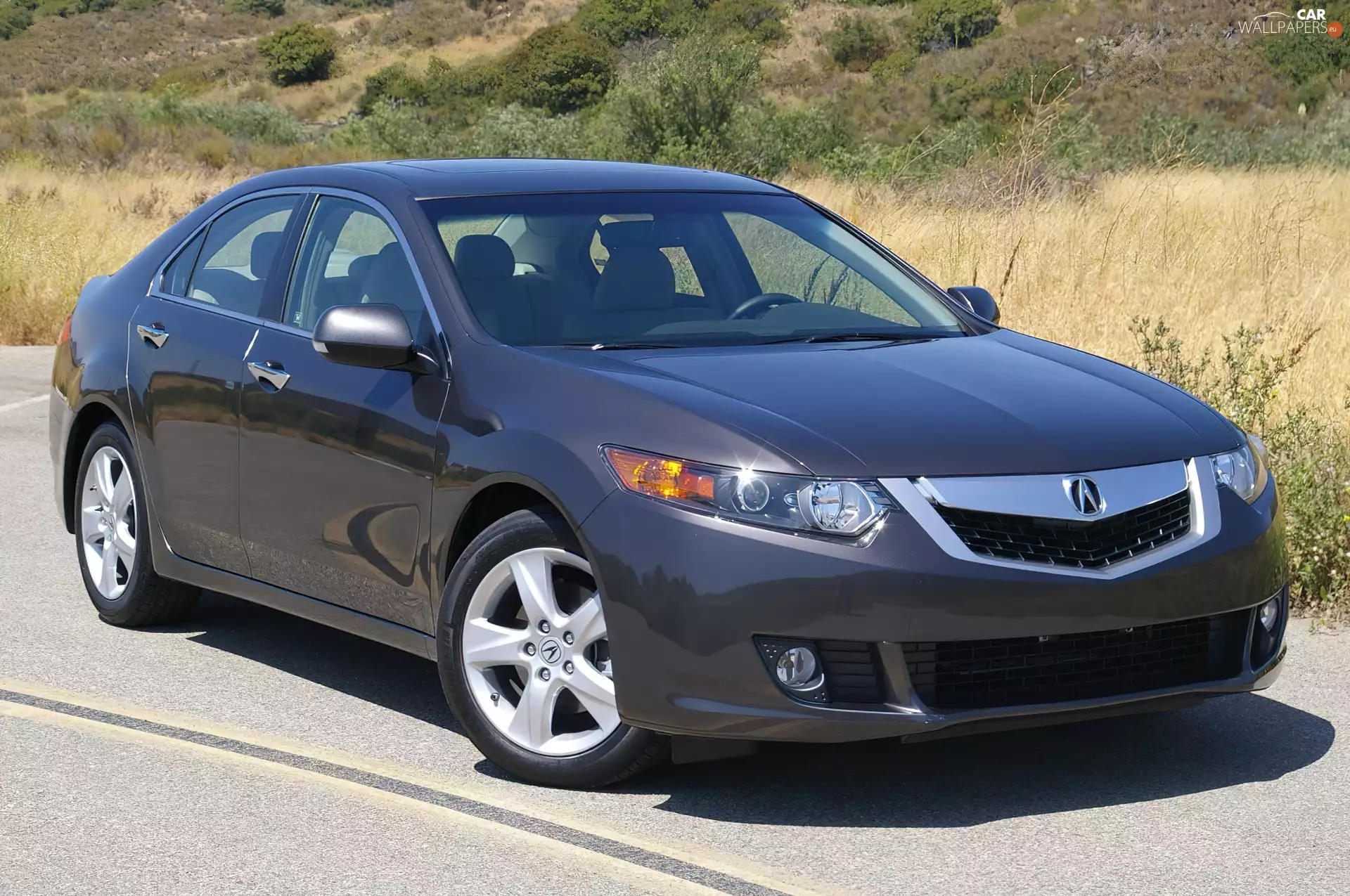 windows, Acura TSX, dummy