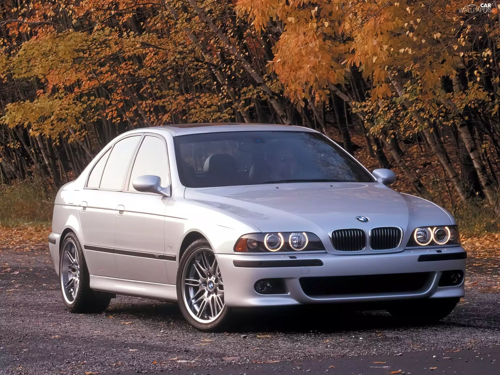 E39, BMW, M5