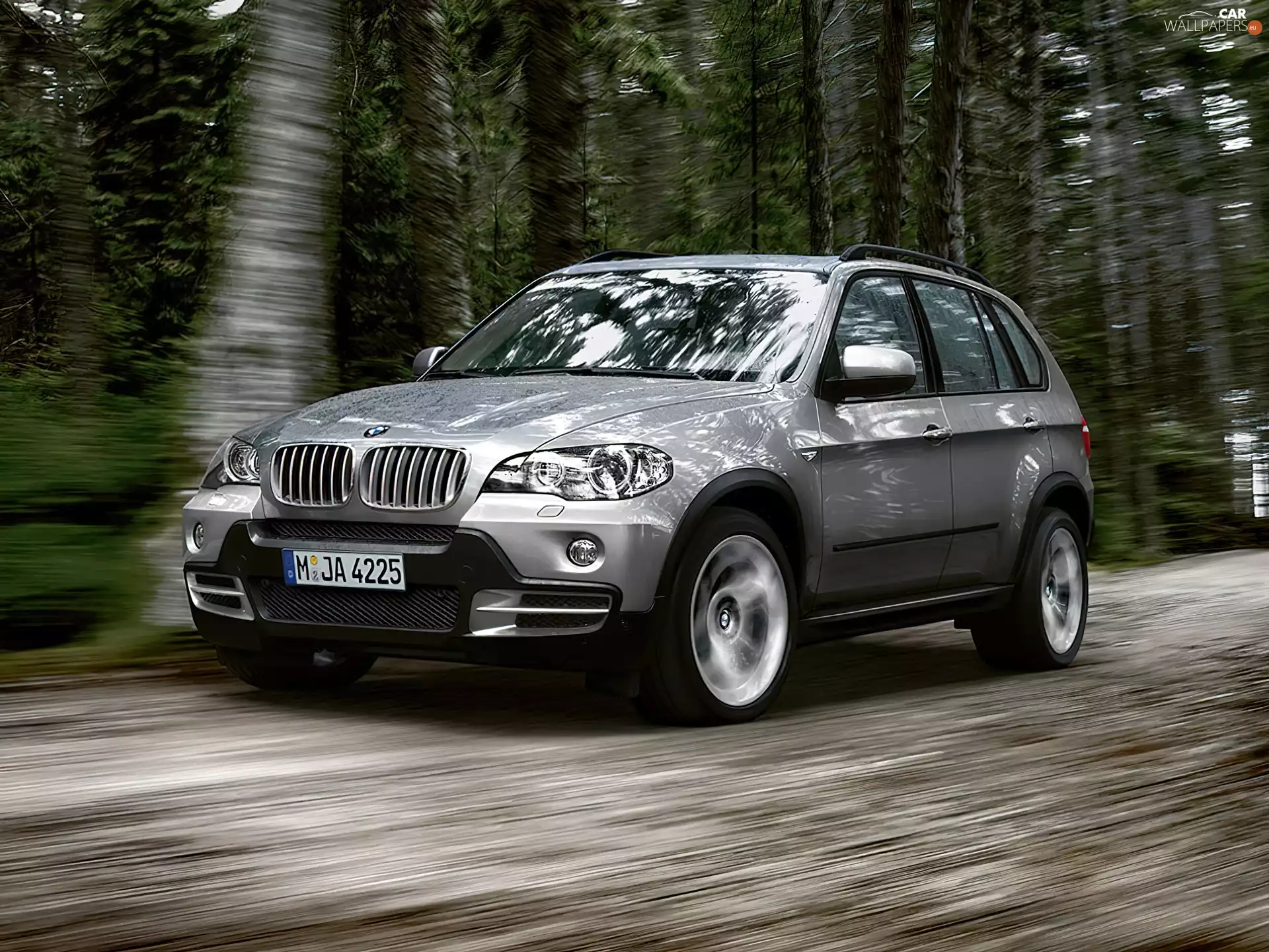 forest, Bmw X5, E70
