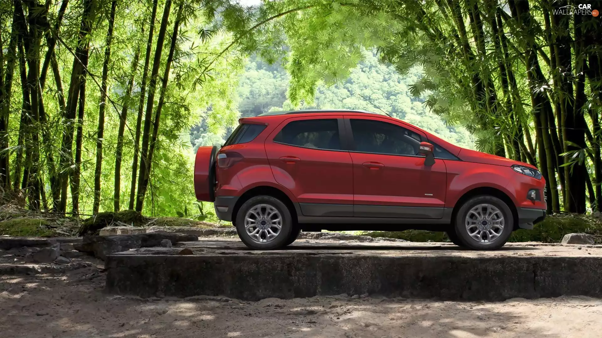 Ford EcoSport, viewes, forest, trees