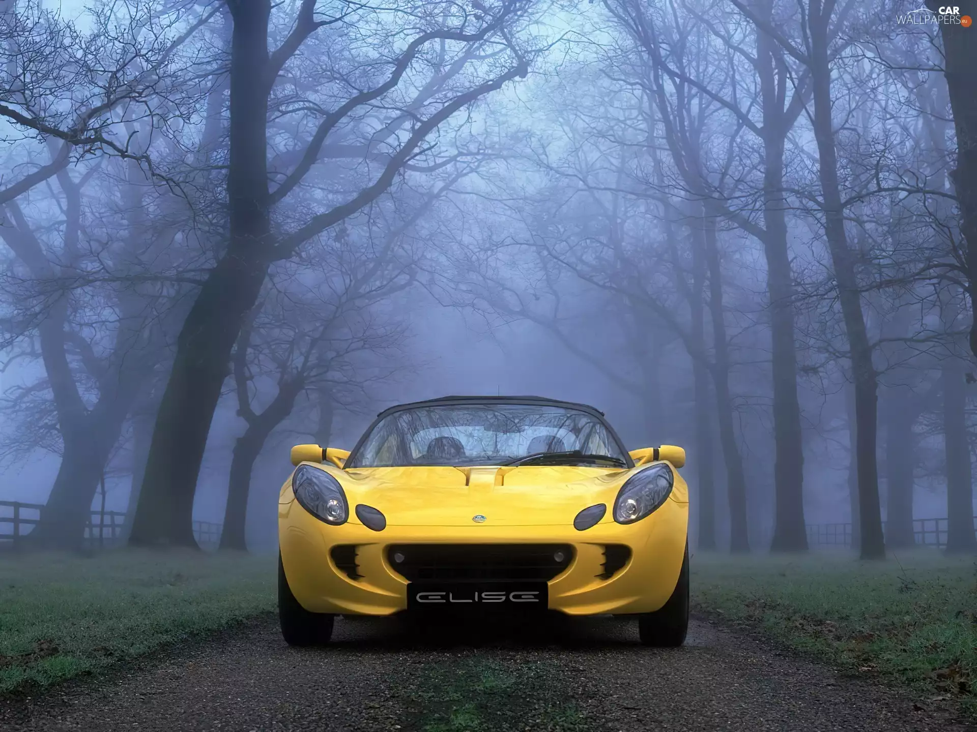 Front, Yellow, Lotus Elise