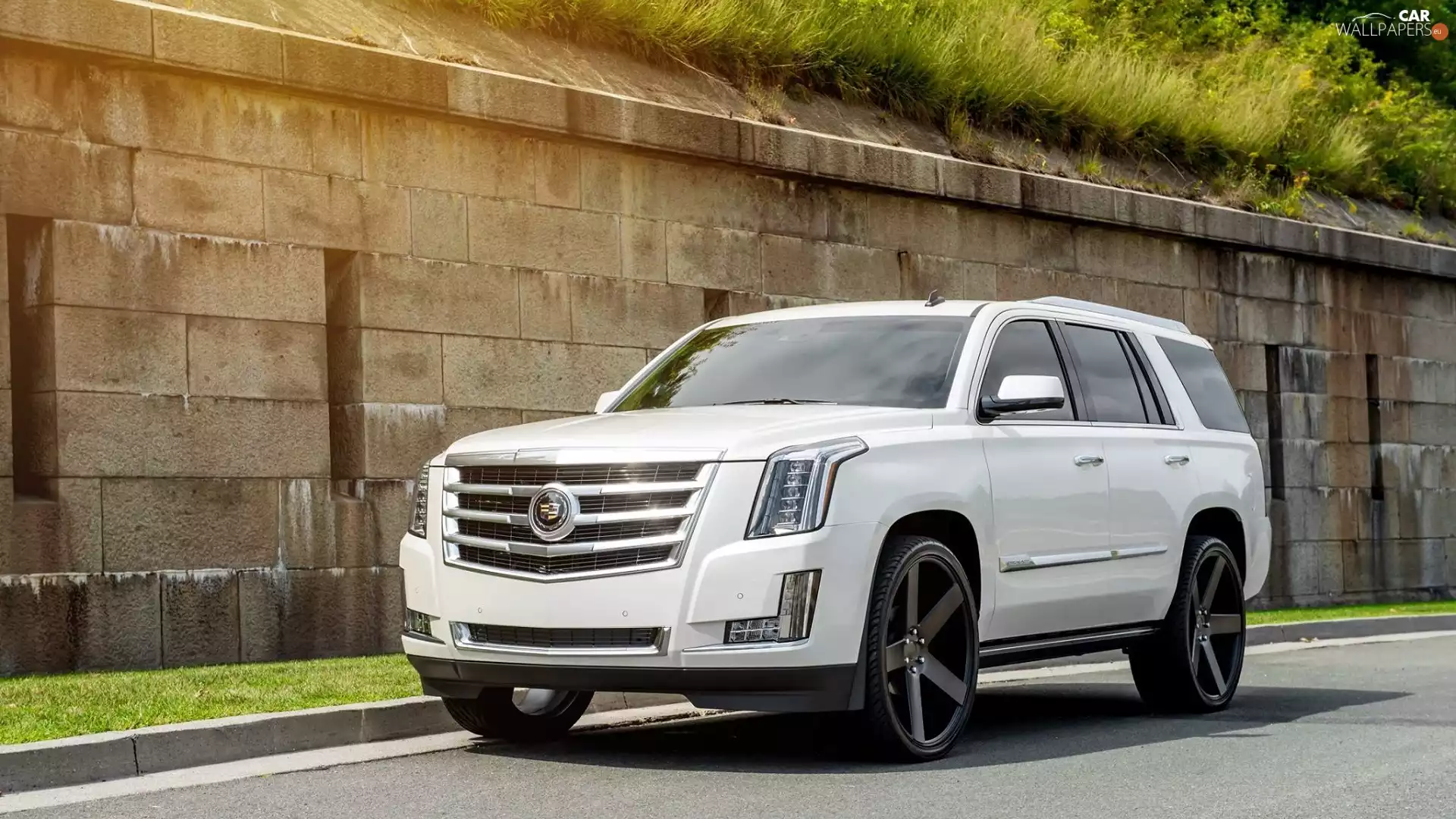 2015, White, Cadillac Escalade