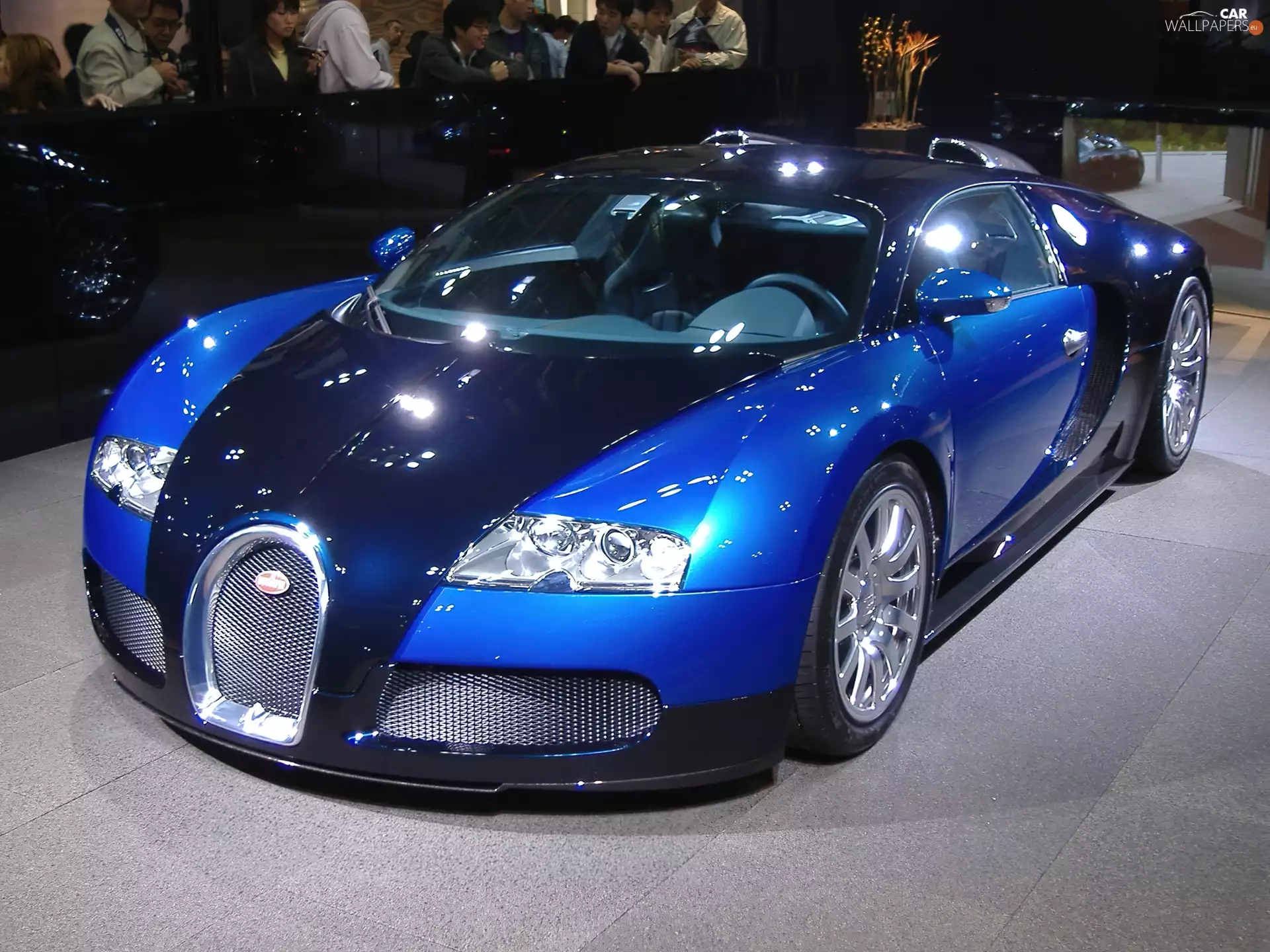exhibition, blue, Veyron