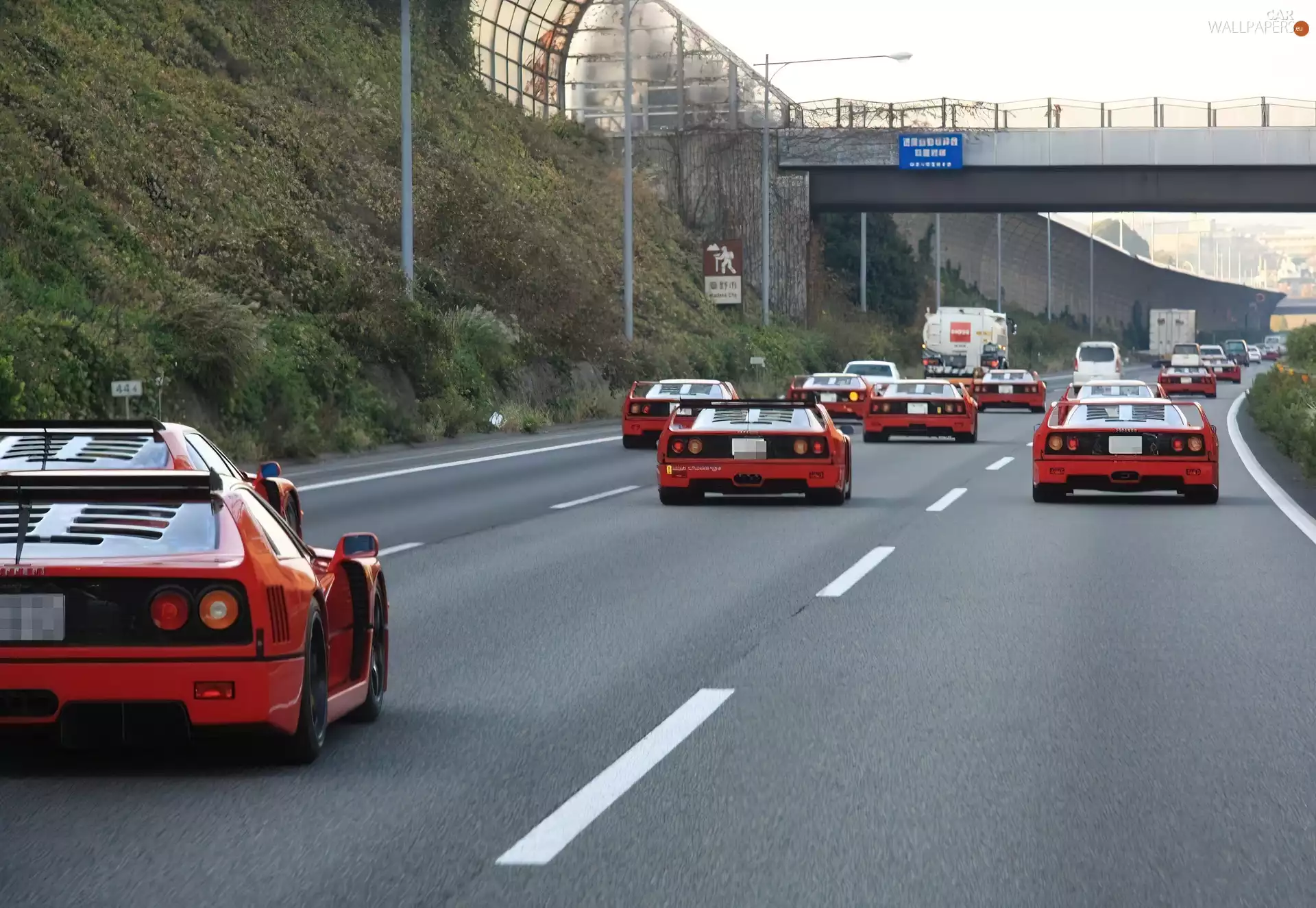 Ferrari F 40, rally, Lovers