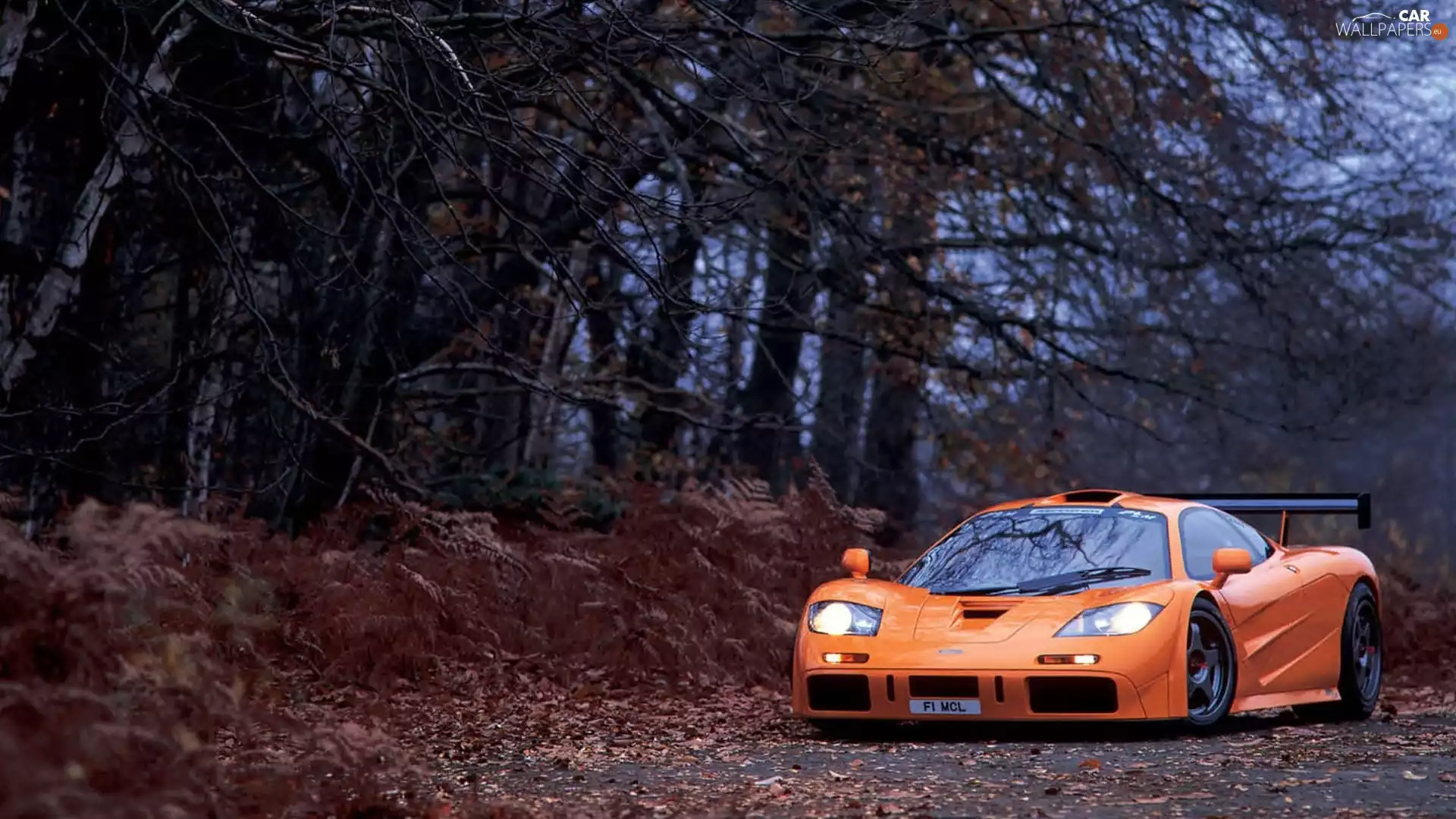 McLaren F1, forest, autumn, Way