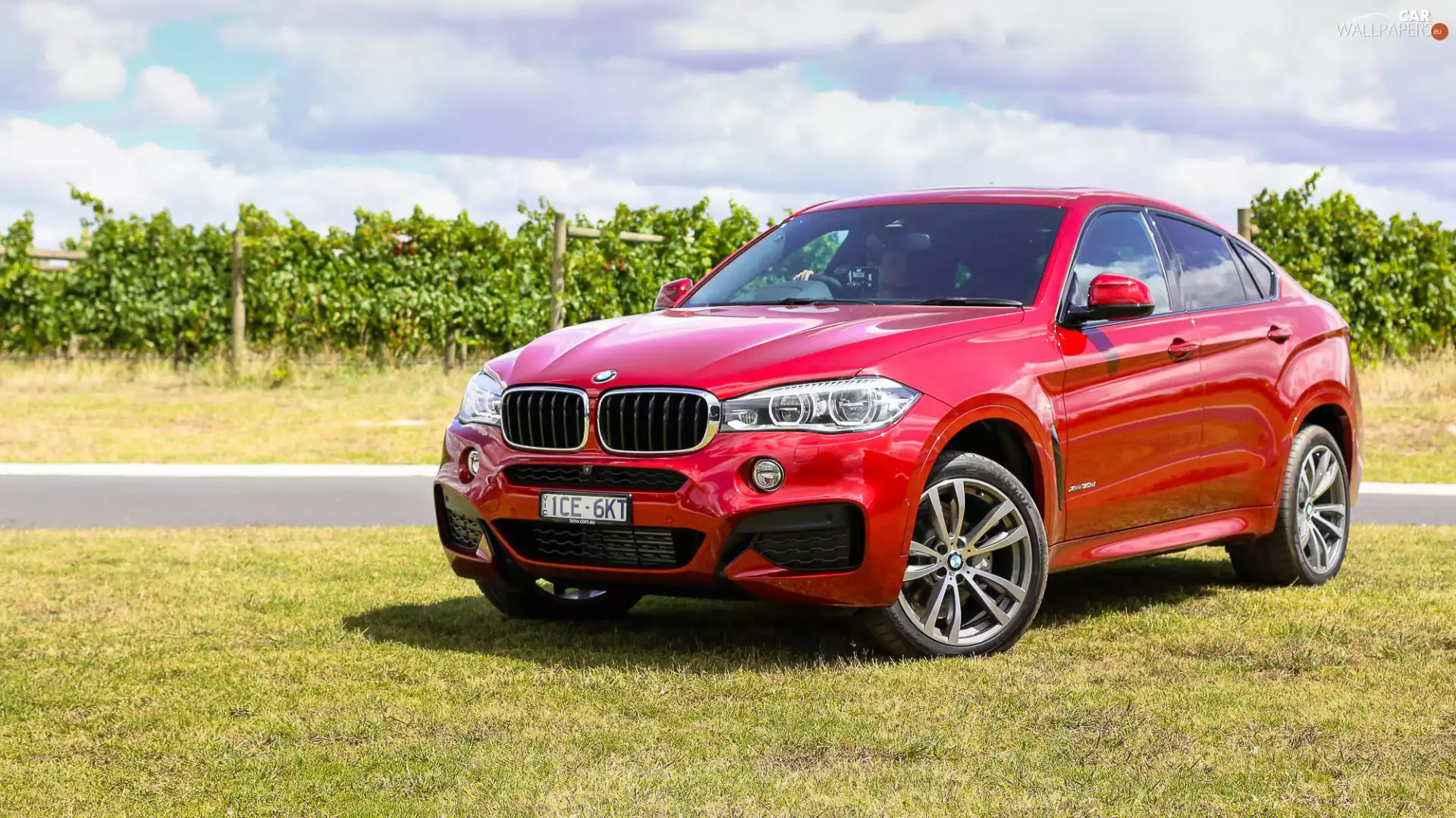 Red, BMW X6, f16