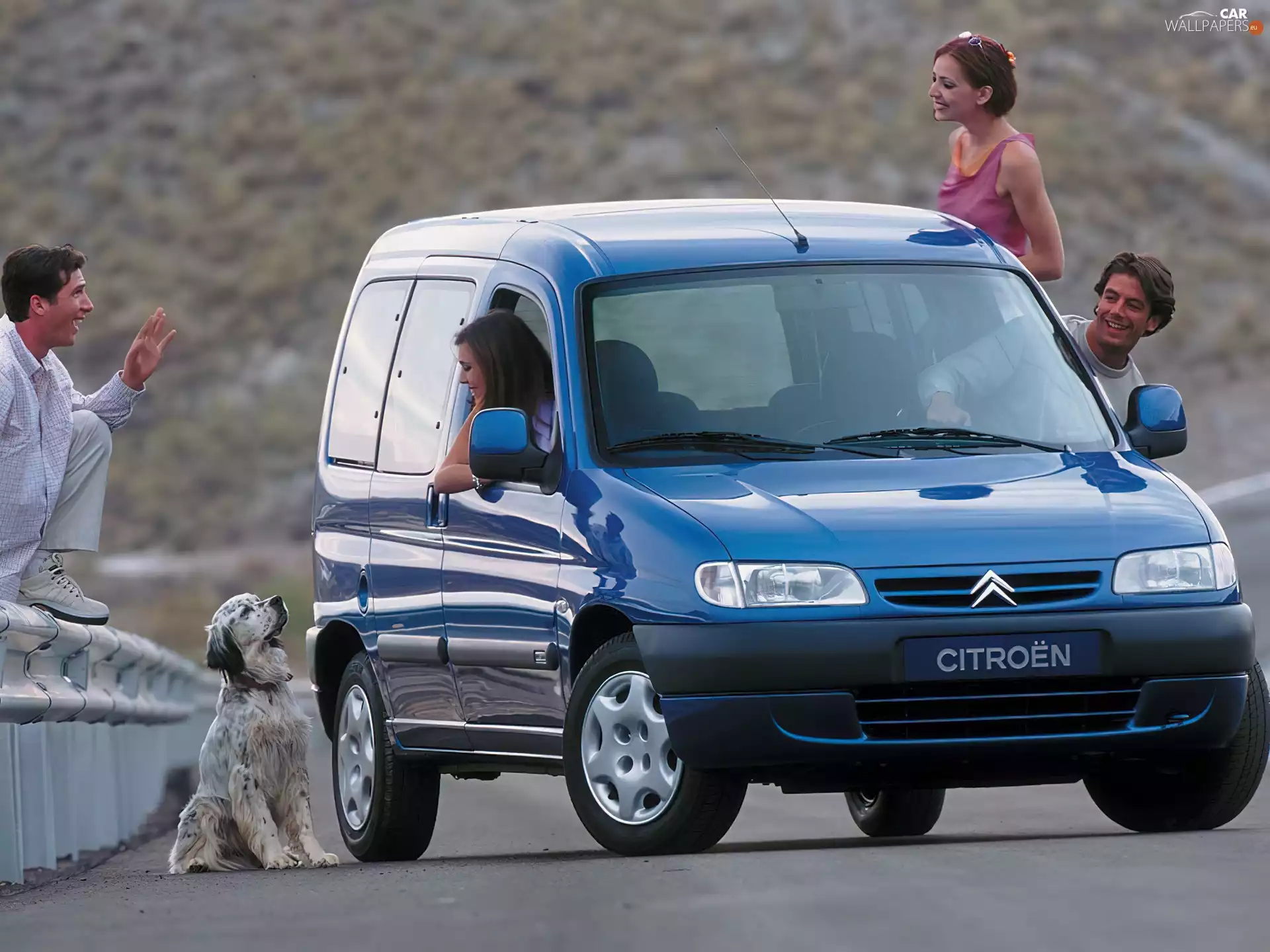 dog, Citroen Berlingo, Family