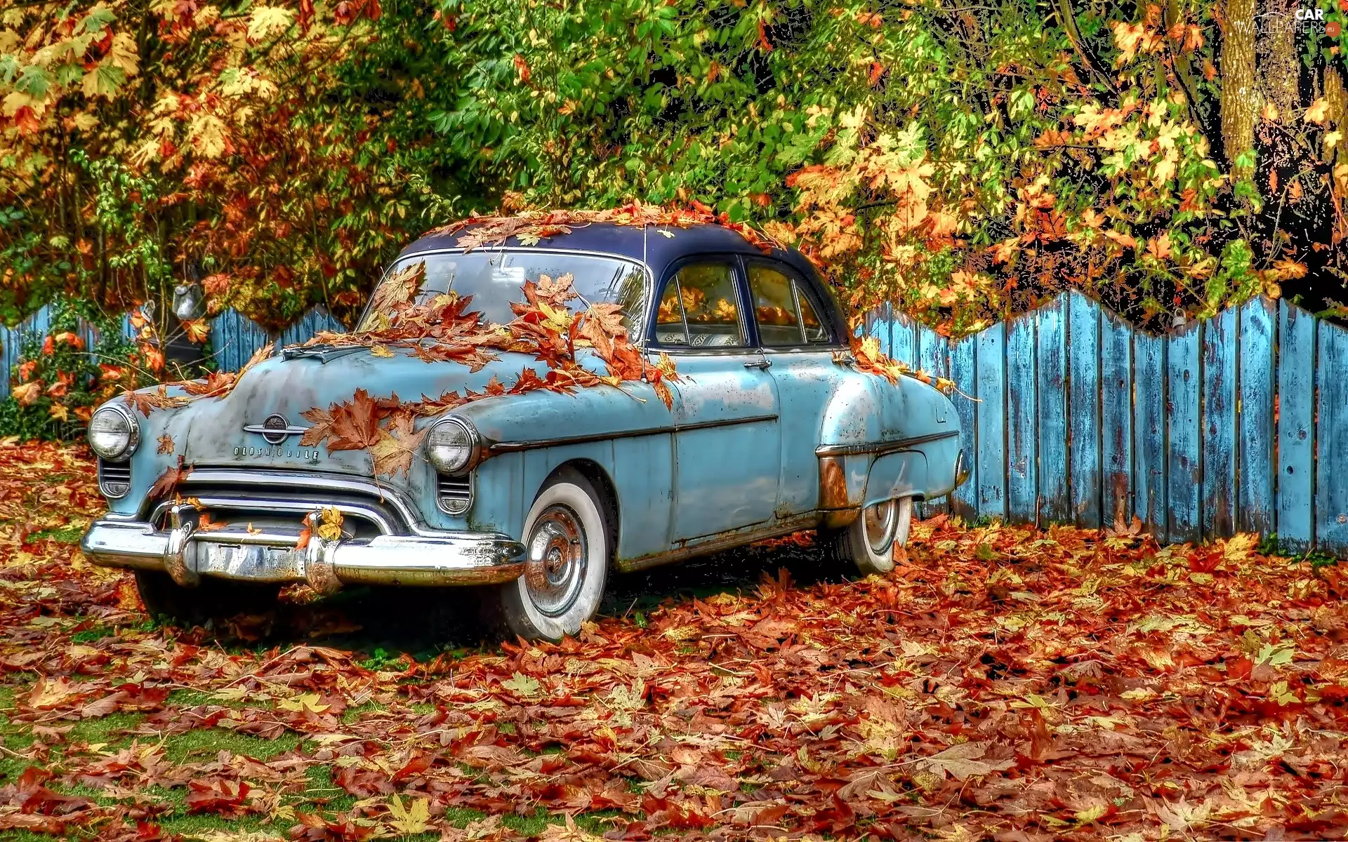 Leaf, fence, antique, Oldsmobile, Automobile