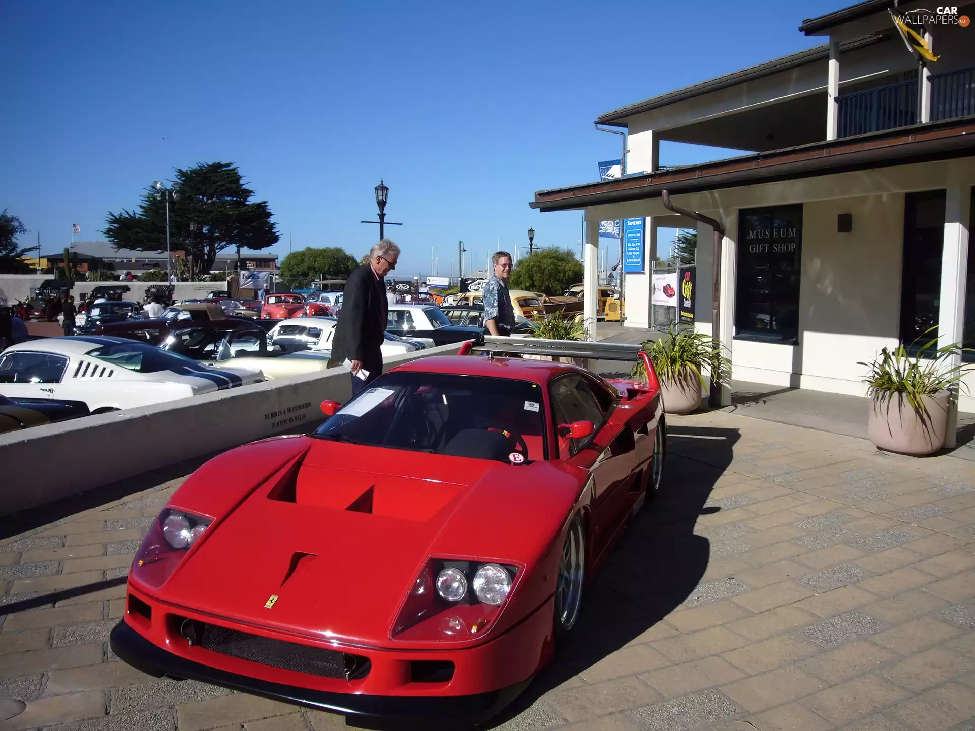 cars, Ferrari F 40, luxury
