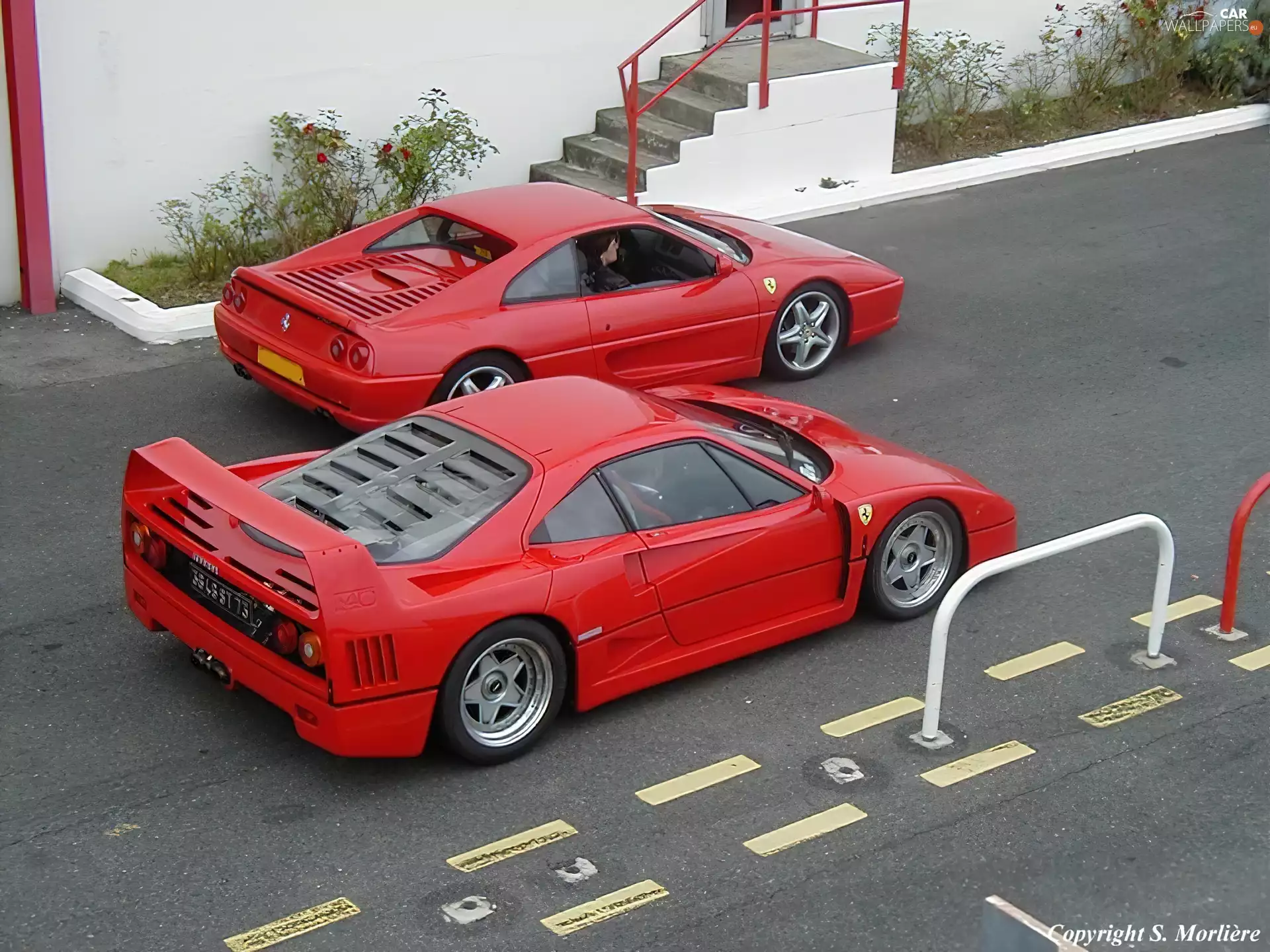 F355, Ferrari F 40, vs