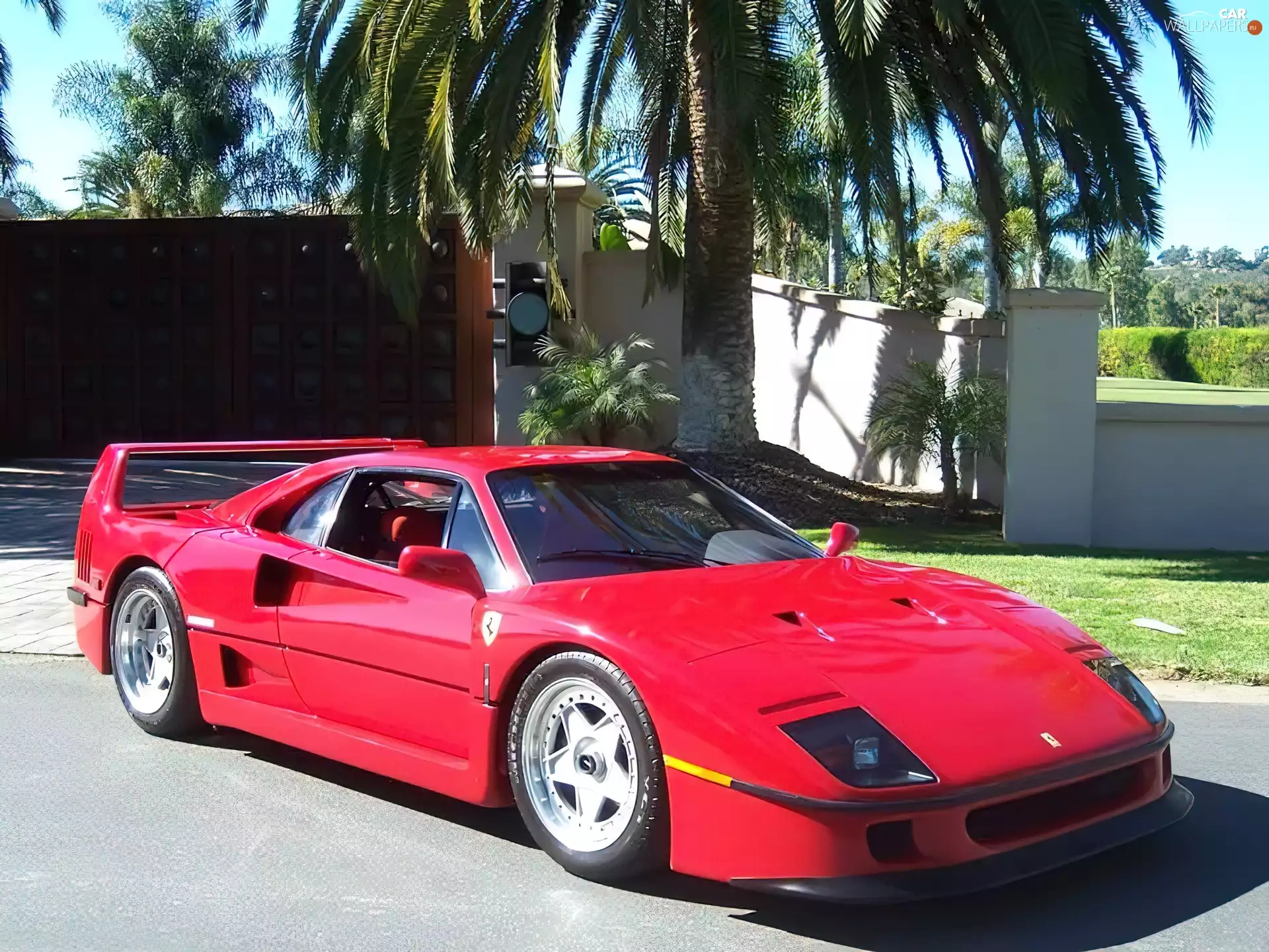 Ferrari F40, Palm