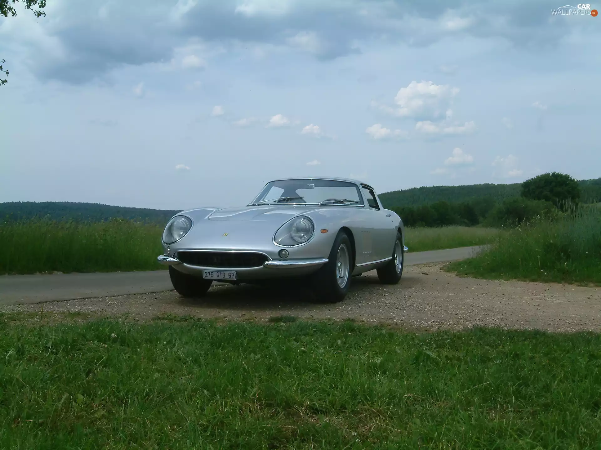 Way, Ferrari 275, Field