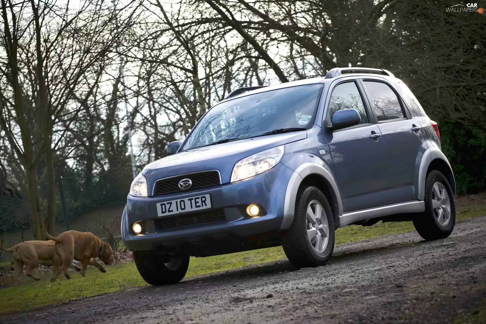 Way, Daihatsu Terios, Field