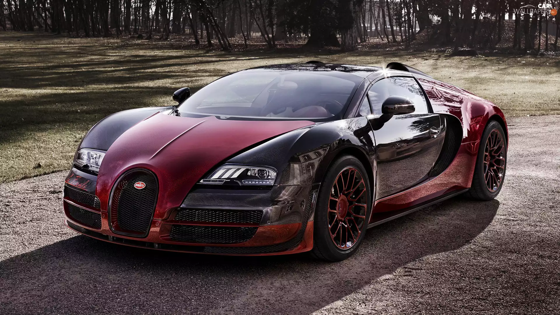 Front, Bugatti Veyron Grand Sport Vitesse, La Finale