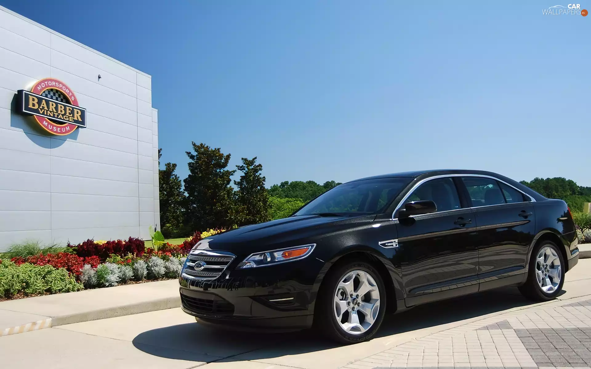 Black, flag, model, Ford Taurus
