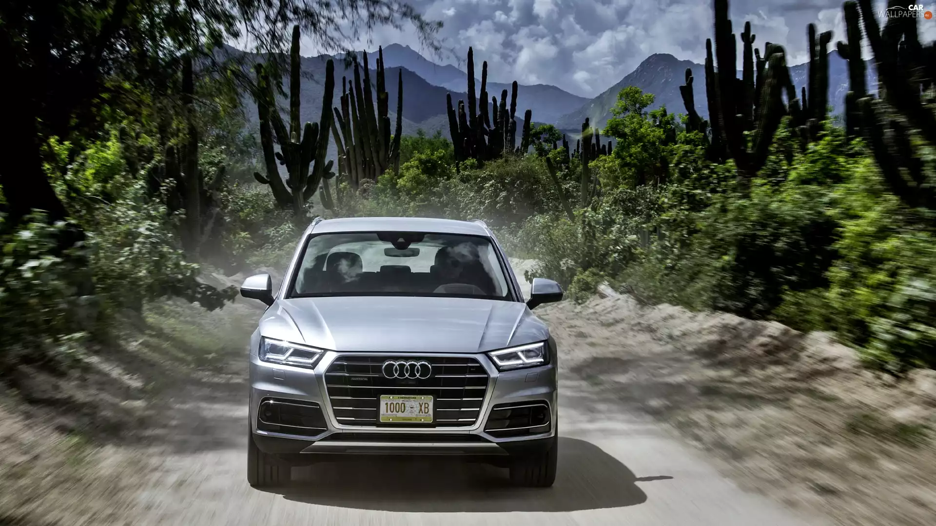 2017, SUV, Plants, Florett Silver, Audi Q5 3.0 TDI Quattro, Way, Cactus