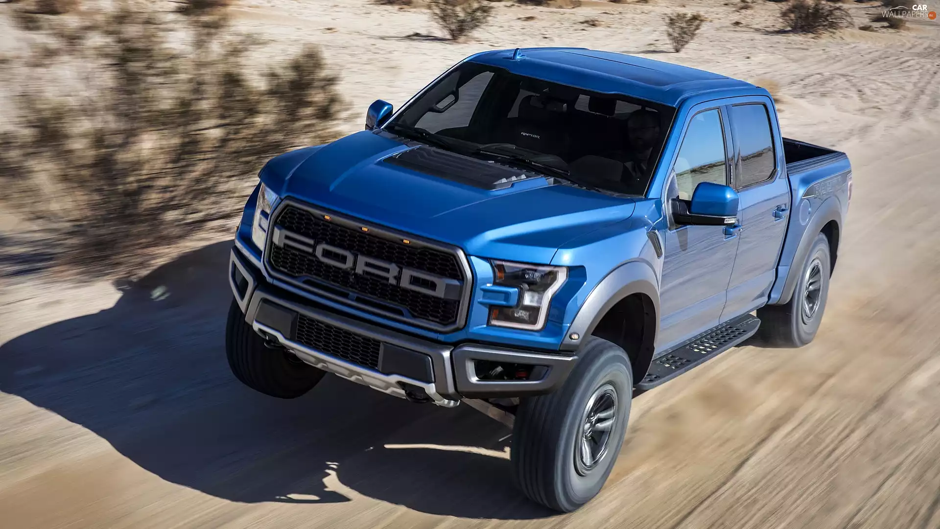 blue, Raptor, 2019, Ford F-150