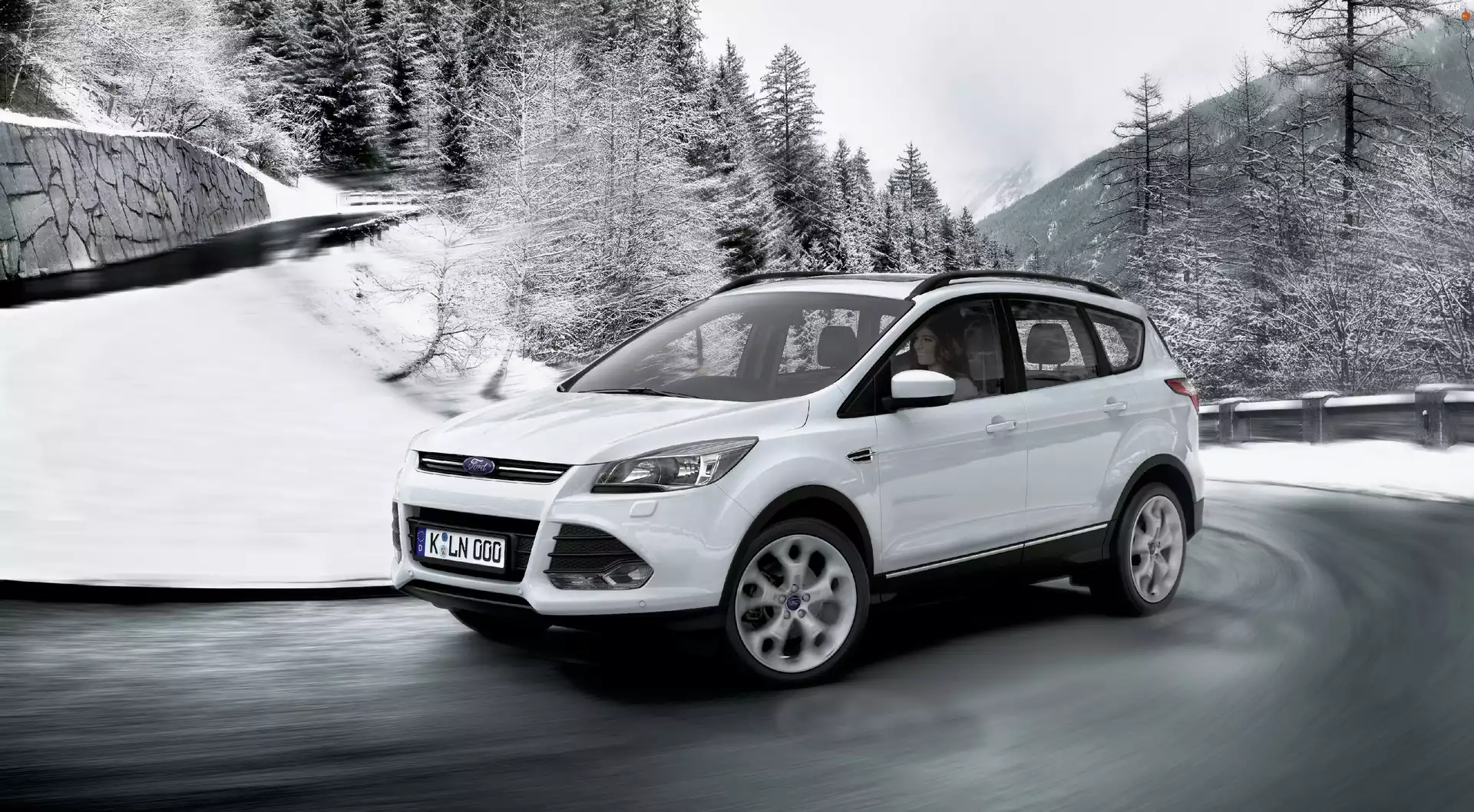 Ford, kuga