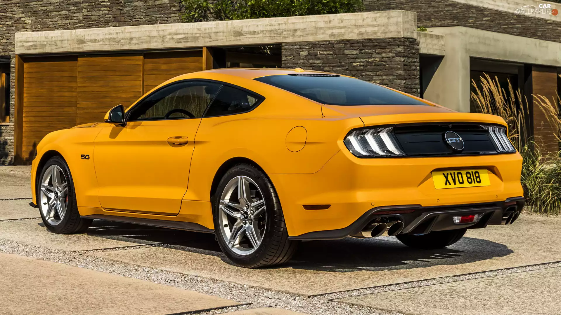 side, Ford Mustang GT, Back