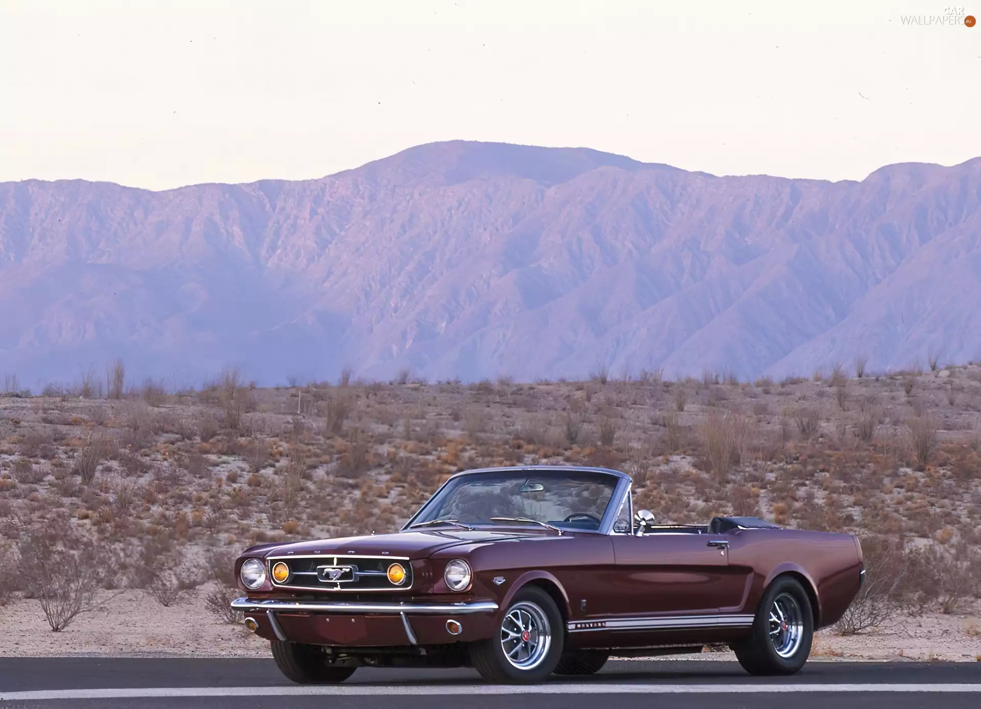 cherry, Ford Mustang K-Code