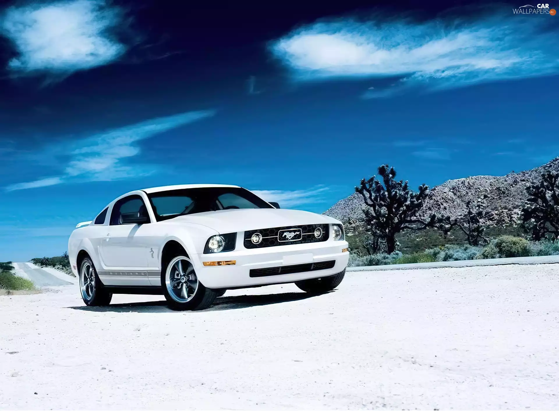White, Ford Mustang V6 Pony