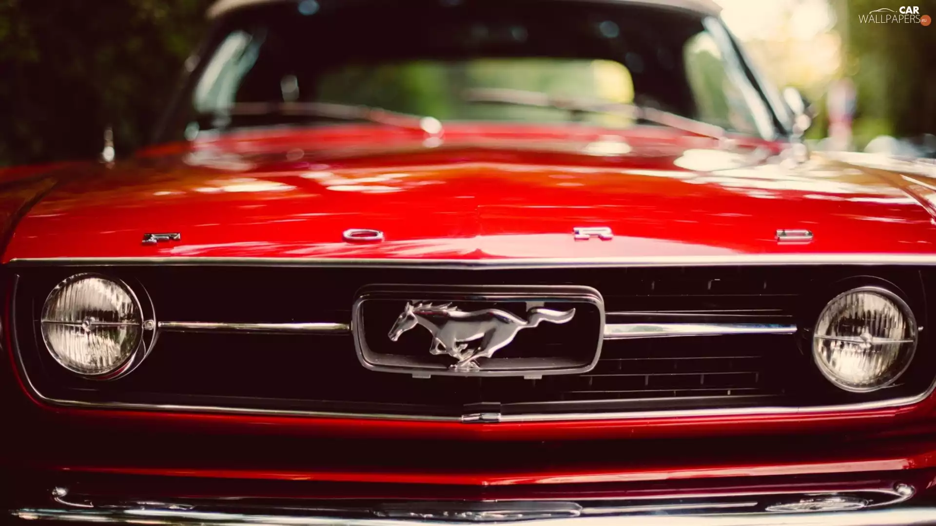 Red, Mustang, blur, Ford