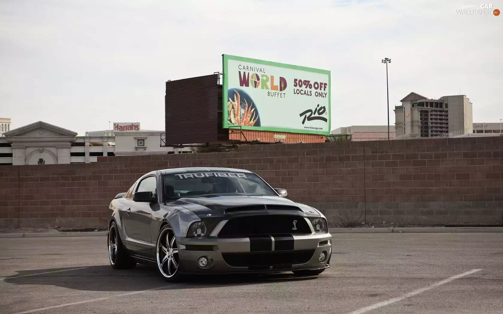 Ford Mustang, Shelby