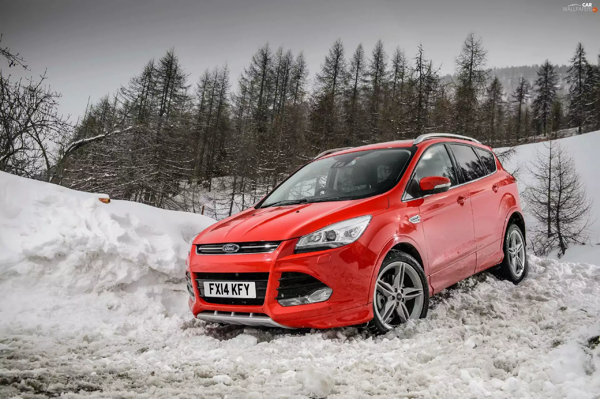 ford kuga, snow