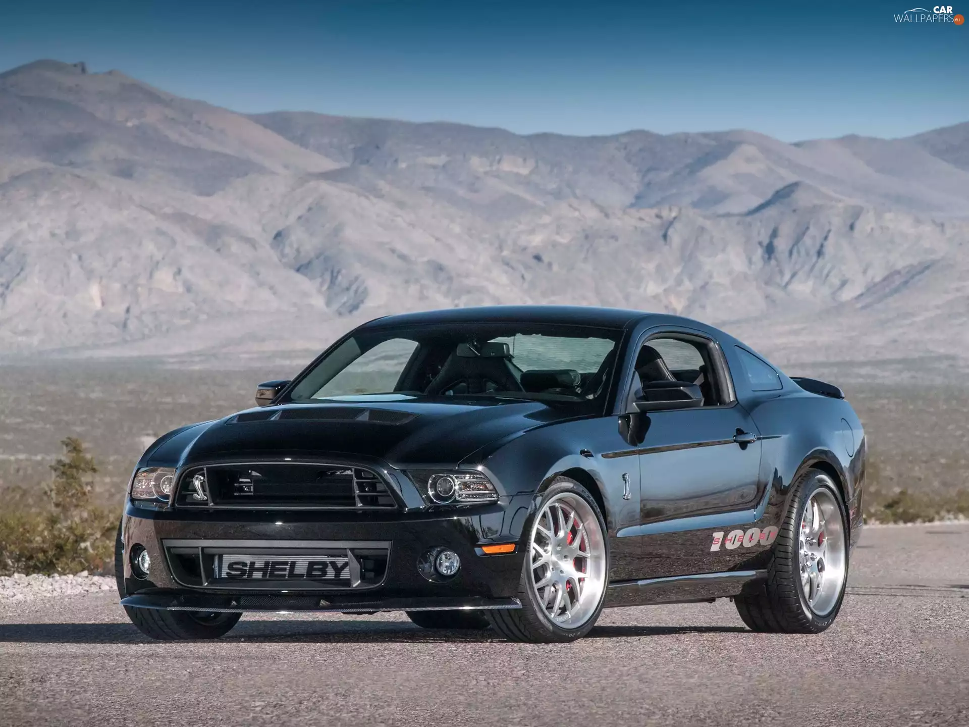 Tuned, Mustang, Shelby, Ford