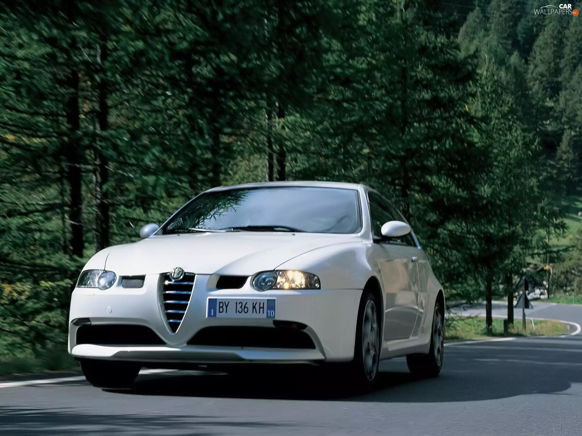 Alfa Romeo 147, forest