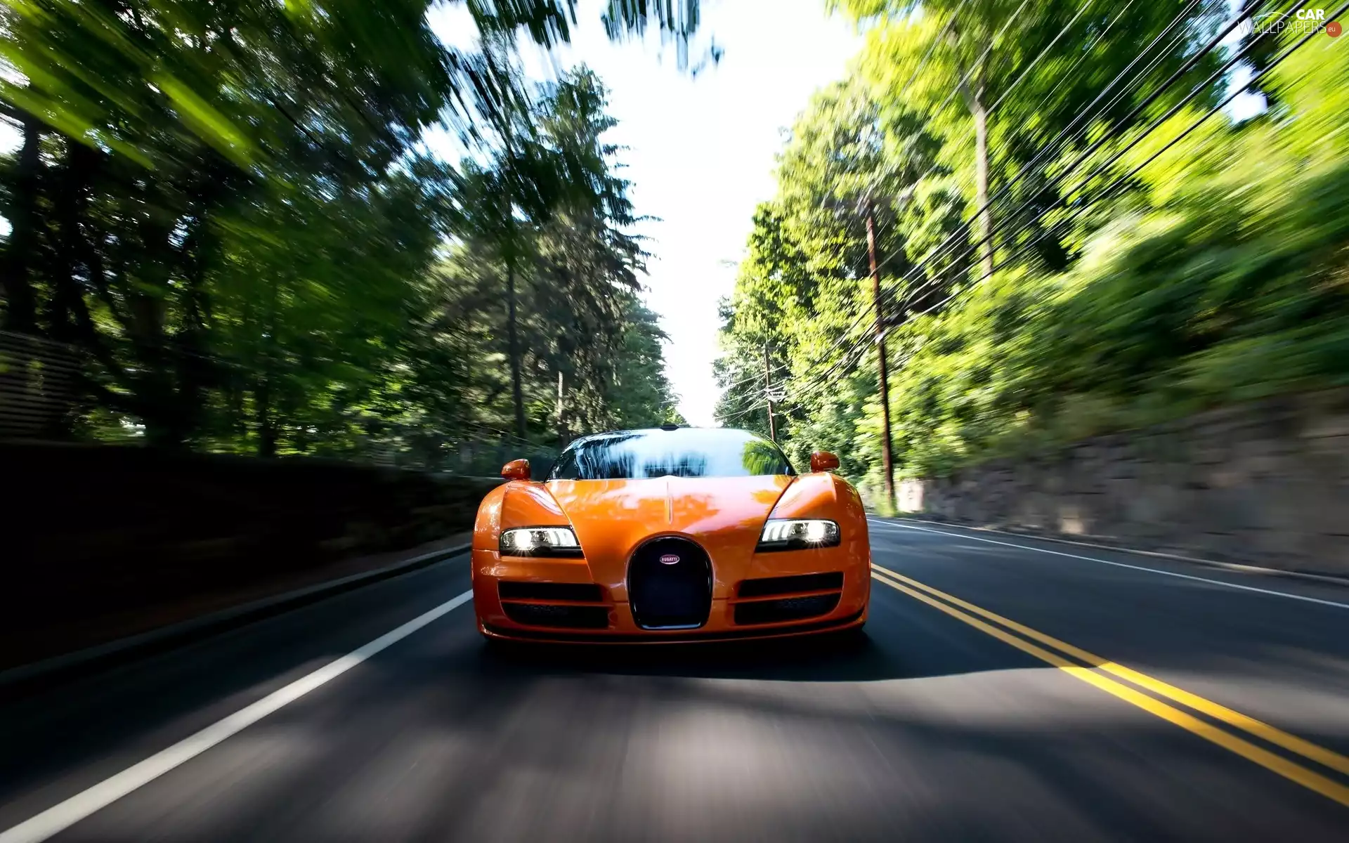 Bugatti Veyron, Way, forest