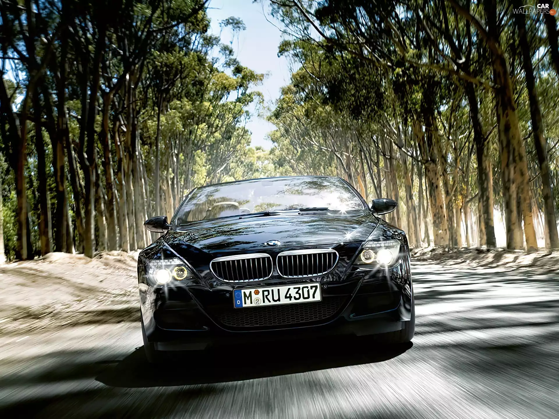BMW Seria 6, forest, Way, Front