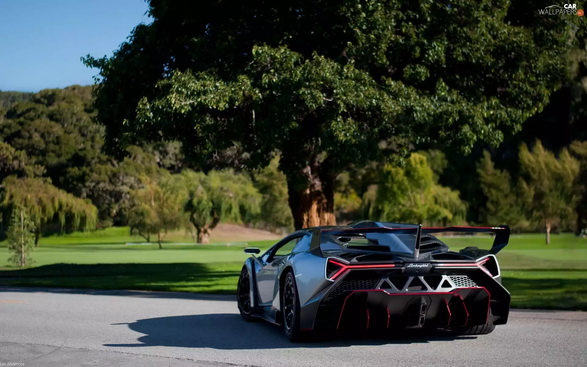 forest, Lamborghini, Way