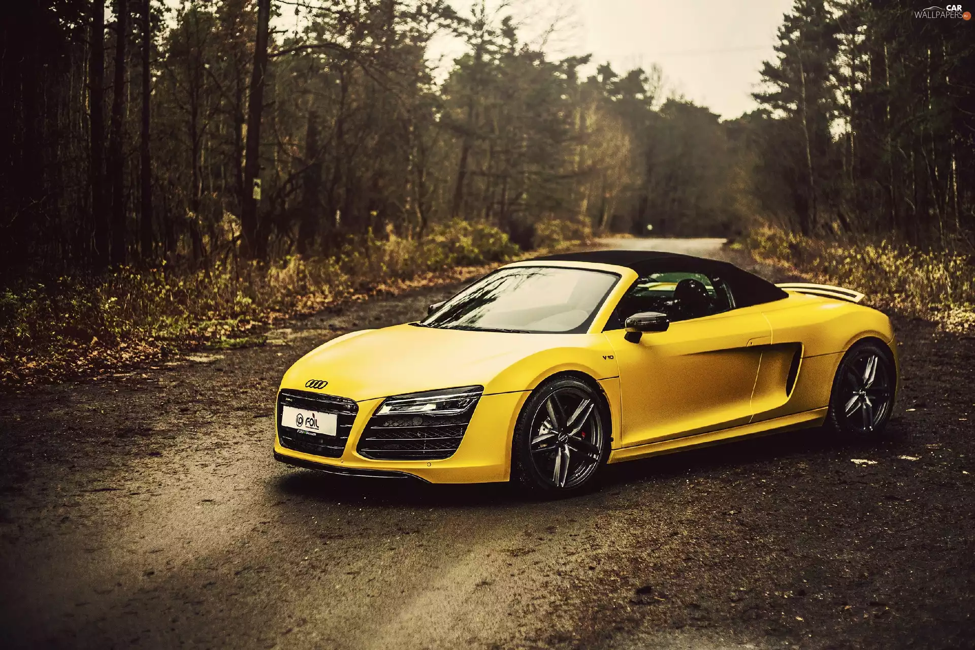 Way, Audi R8, forest