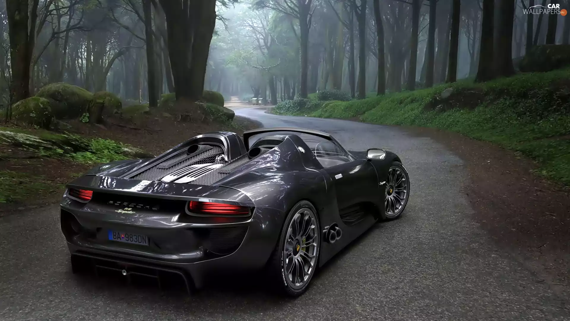 Porsche, forest, Way, 918 Spyder