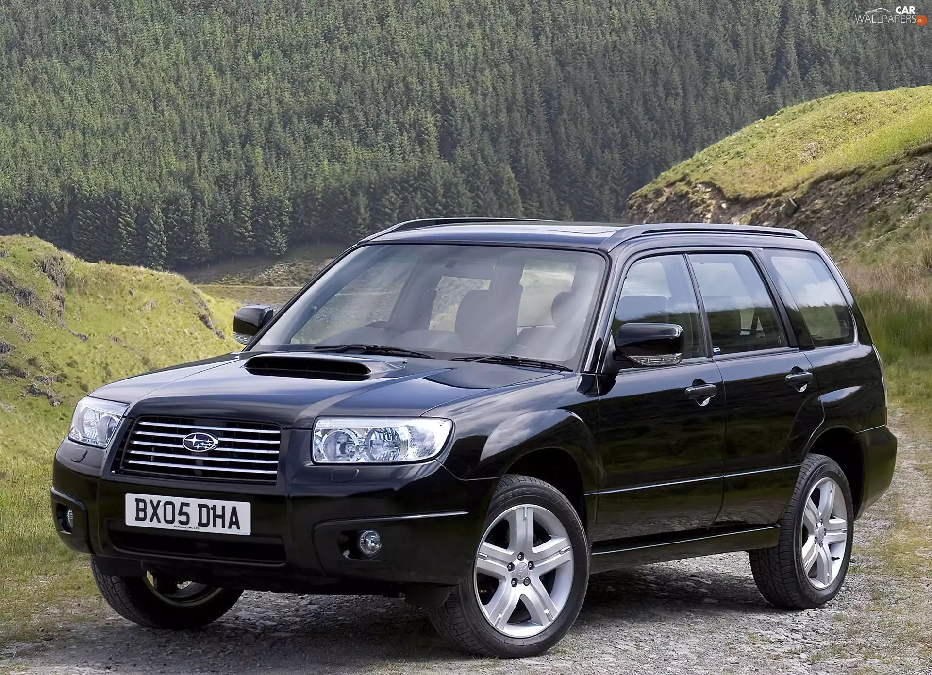 4x4, SUV, Subaru Forester