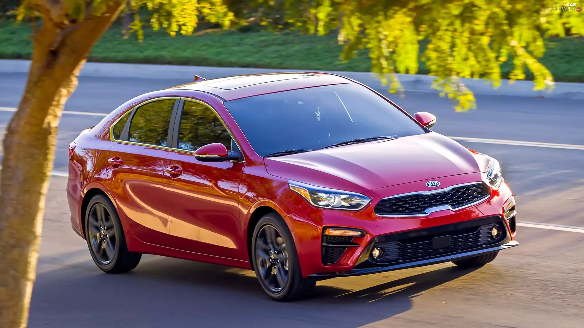 red hot, Kia Forte